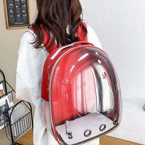 Mochila capsula para gatos